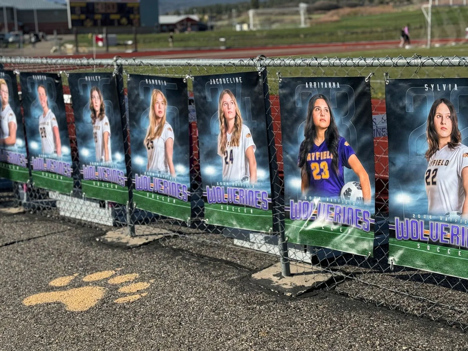 School Team Spirit Banners 5